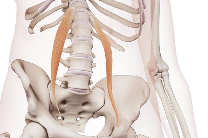 spinal osteochondrosis in the lower back the essence of the disease